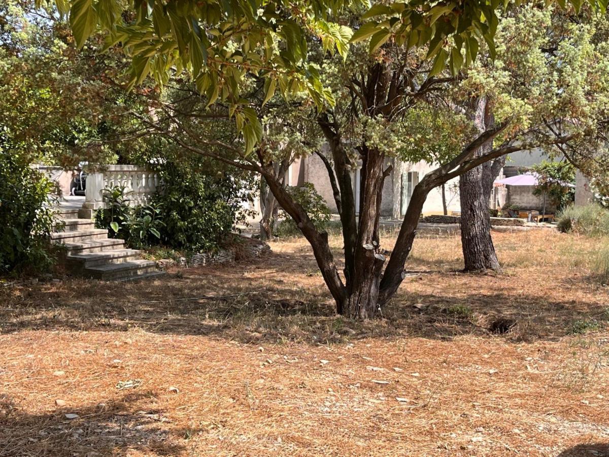 Maisonnette Independante Avec Jardin/Patio Nimes Exterior photo